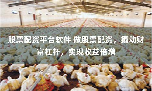 股票配资平台软件 做股票配资,撬动财富杠杆,实现收益倍增