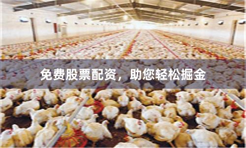 免费股票配资，助您轻松掘金