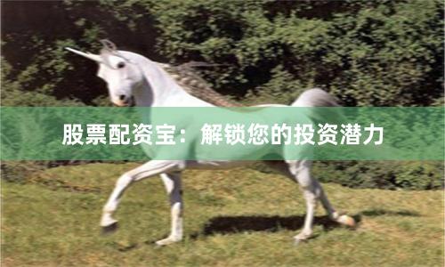 股票配资宝：解锁您的投资潜力